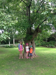 Kids under the tree that Shawn and I were married under.